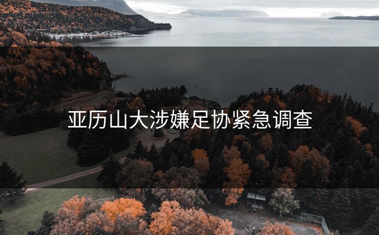亚历山大涉嫌足协紧急调查 亚历山大涉嫌足协紧急调查
