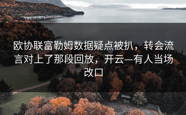 欧协联富勒姆数据疑点被扒，转会流言对上了那段回放，开云—有人当场改口